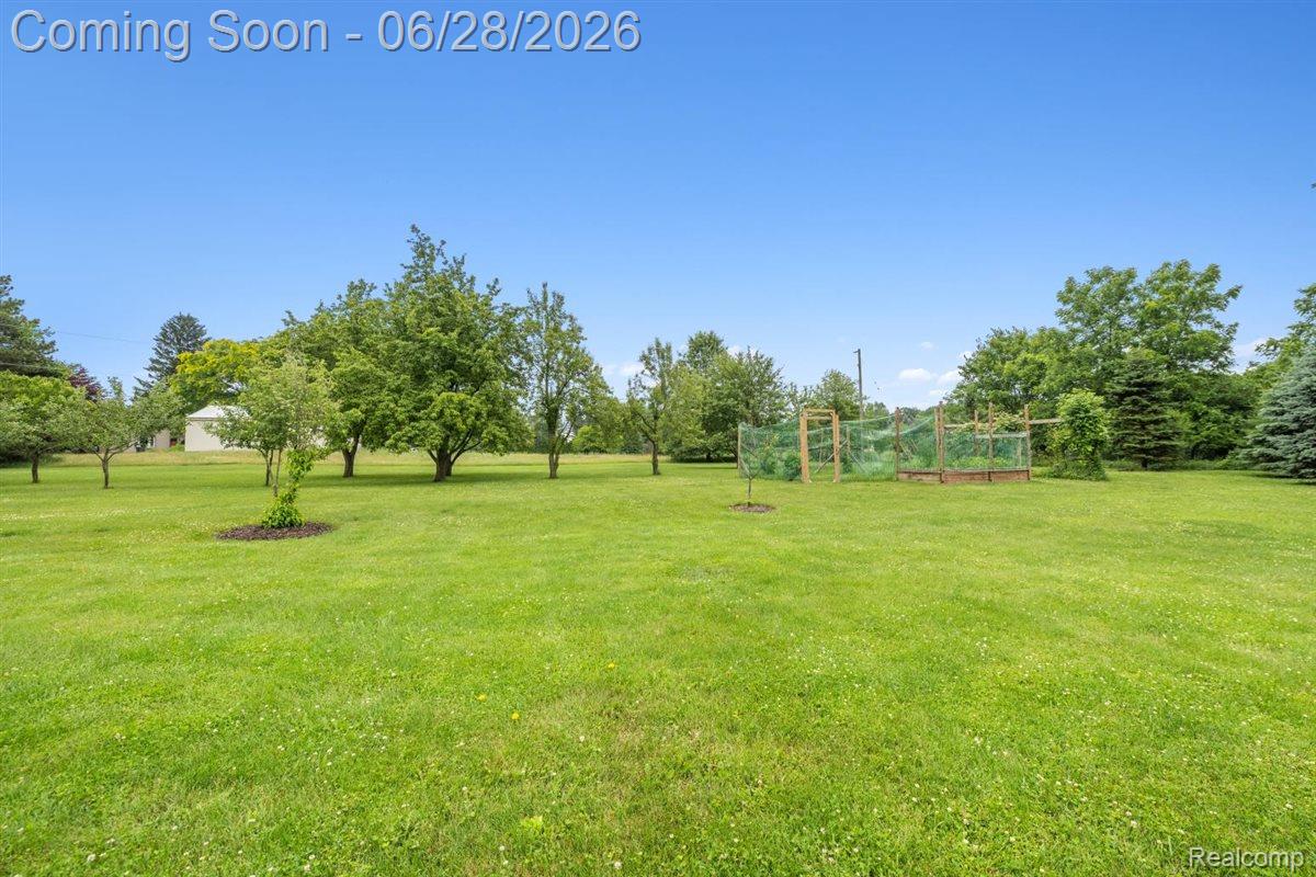 125 Olde Franklin Road Howell, MI 48855 - Photo 13 of 57 Orchard & mixed berry crop