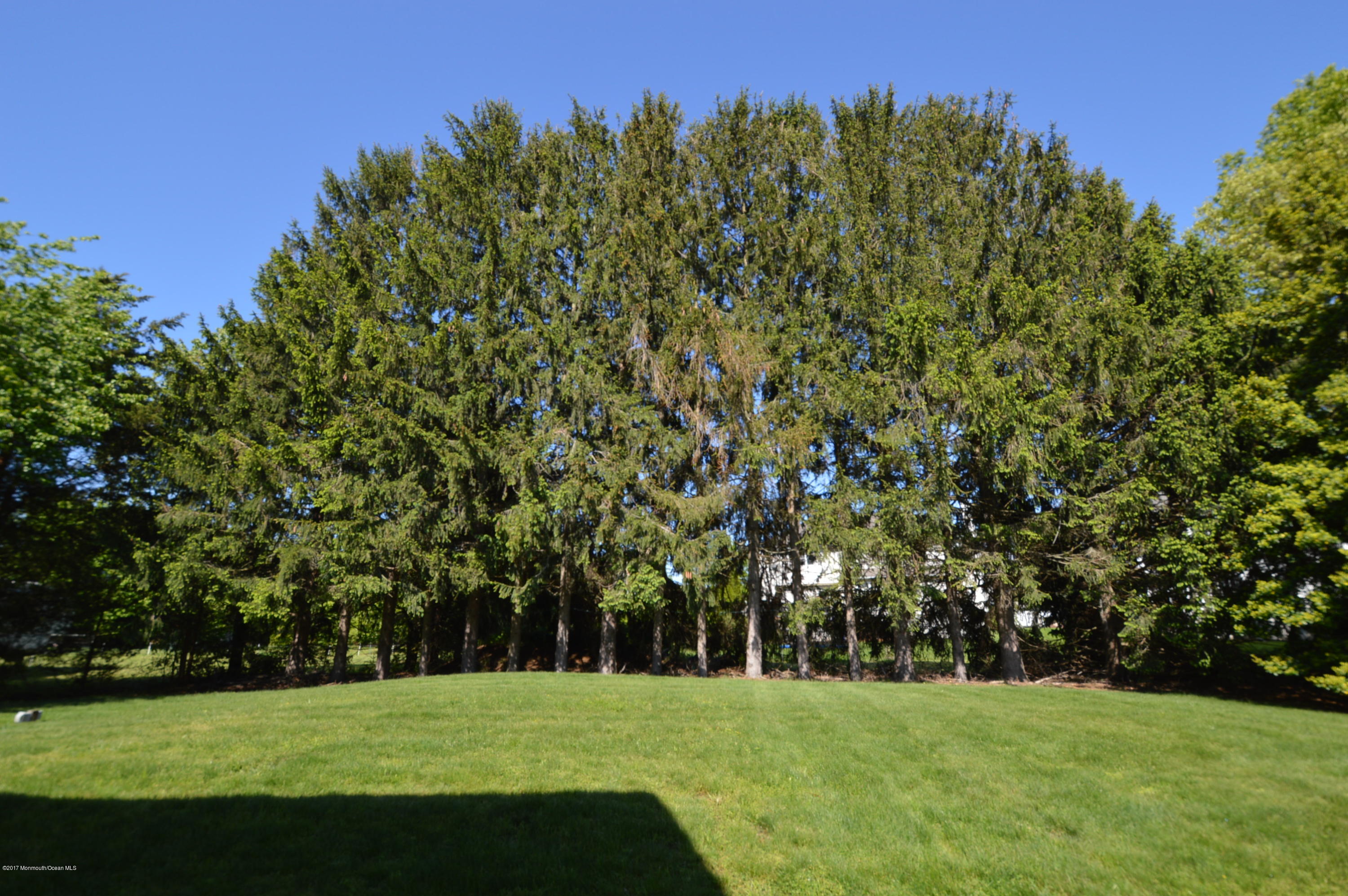 151 Crine Road Morganville, NJ 07751 - Photo 22 of 28 DSC_0015