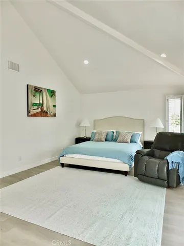 a view of a garden with plants and large trees