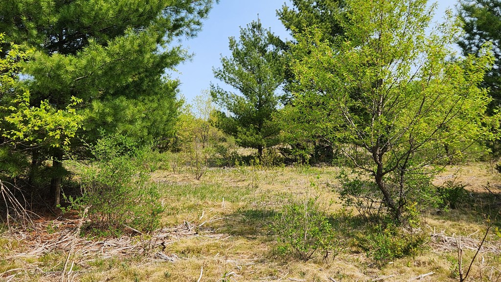 Lot 4 Wandering Down Road Fish Creek, WI 54212 - Photo 2 of 11