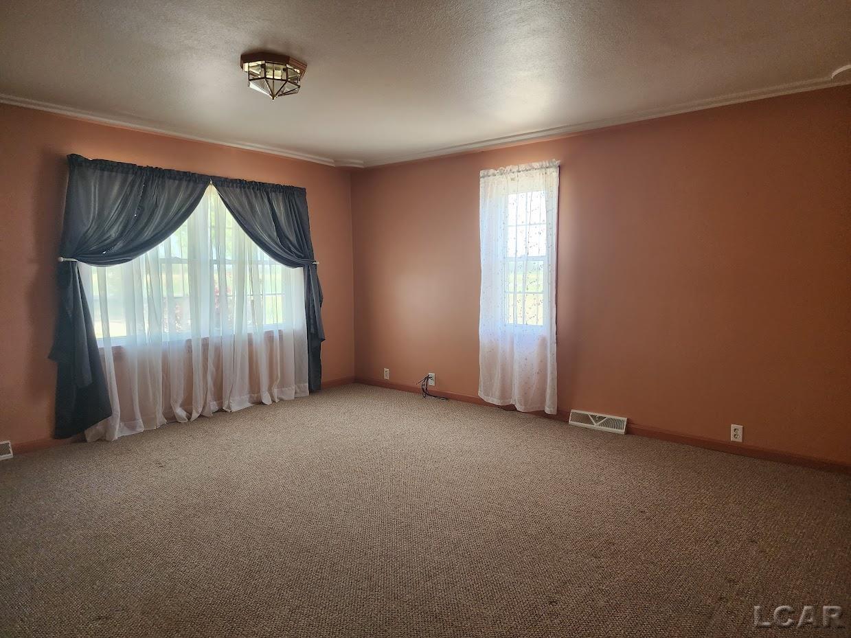 4367 South County Line Road Deerfield, MI 49238 - Photo 13 of 35 50110969-12.JPG