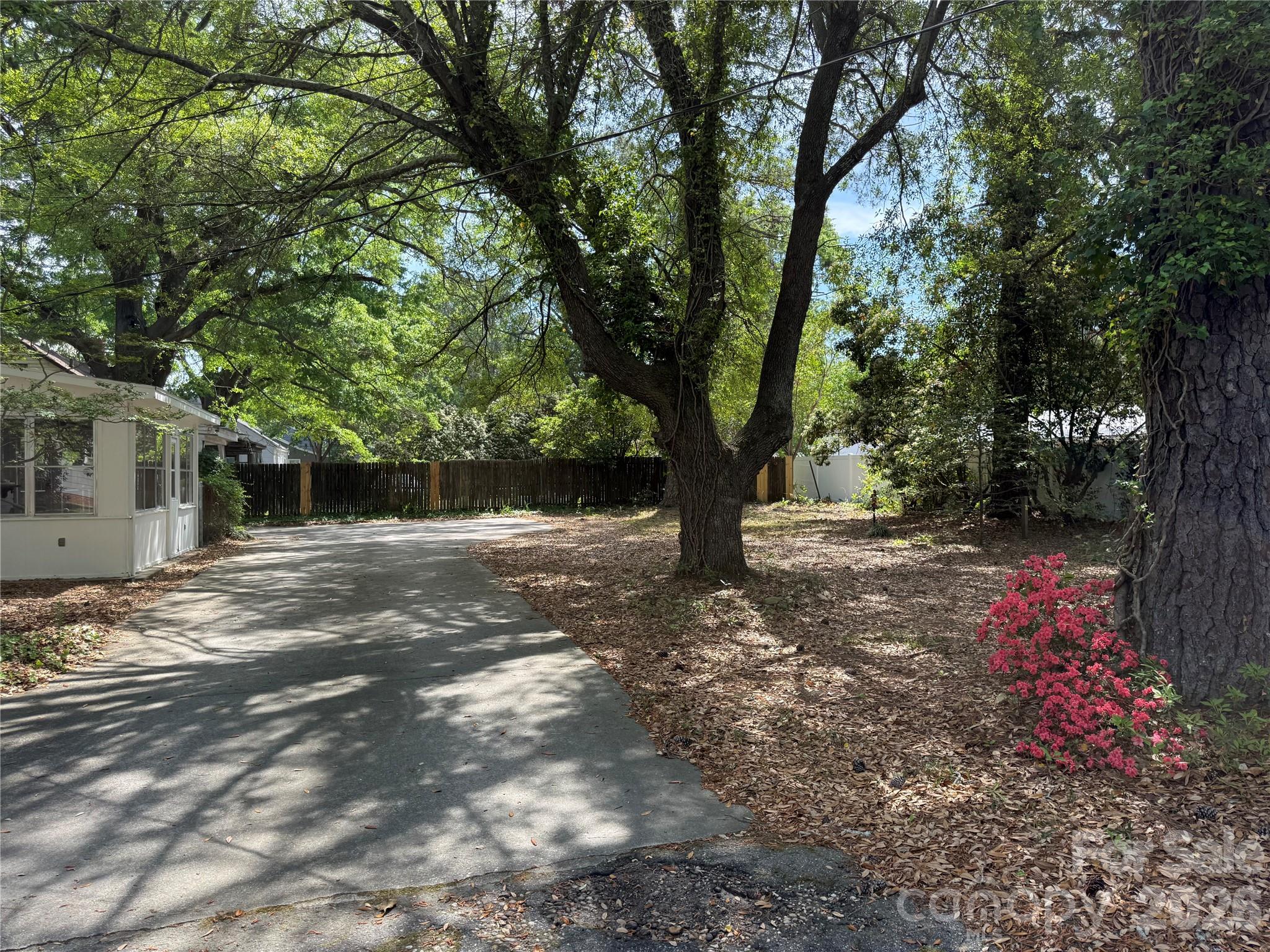 119 Patsy Lane Cheraw, SC 29520 - Photo 3 of 26