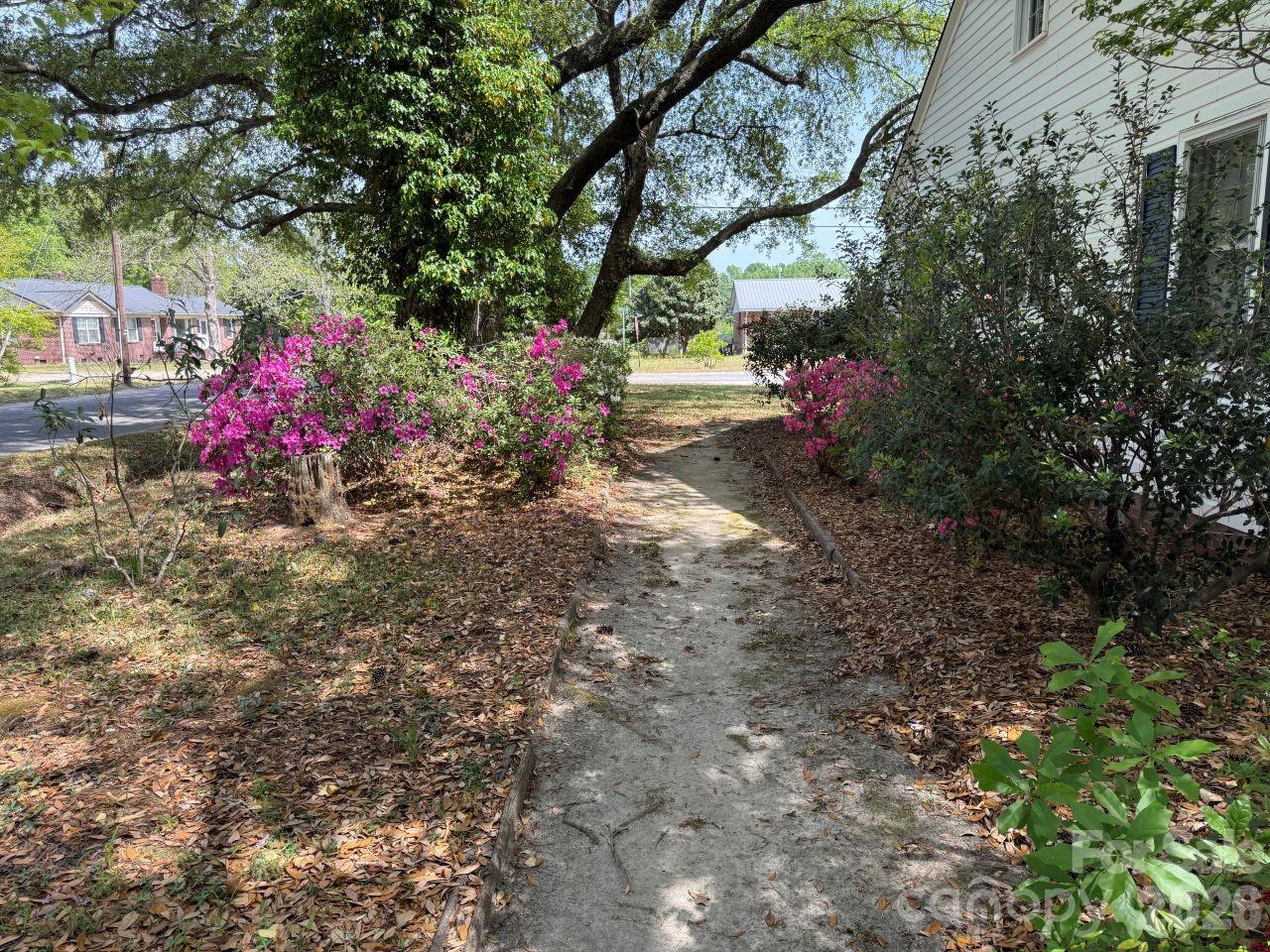 119 Patsy Lane Cheraw, SC 29520 - Photo 4 of 26