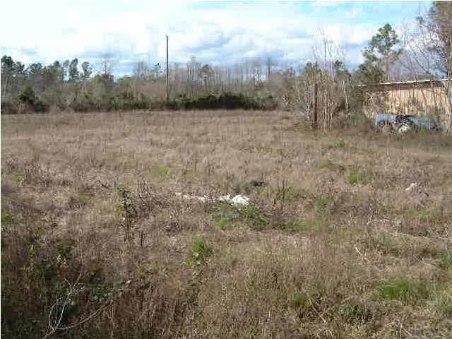 6415 Mary Kitchens Road Milton, FL 32583 - Photo 4 of 6 Back northwest boundary of pasture area with Garage in foreground.