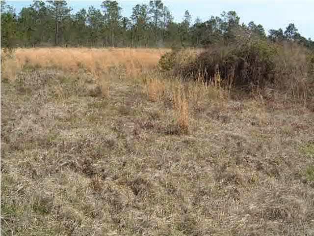 6415 Mary Kitchens Road Milton, FL 32583 - Photo 5 of 6 Back northeast boundary of pasture area showing tree line and fencing.