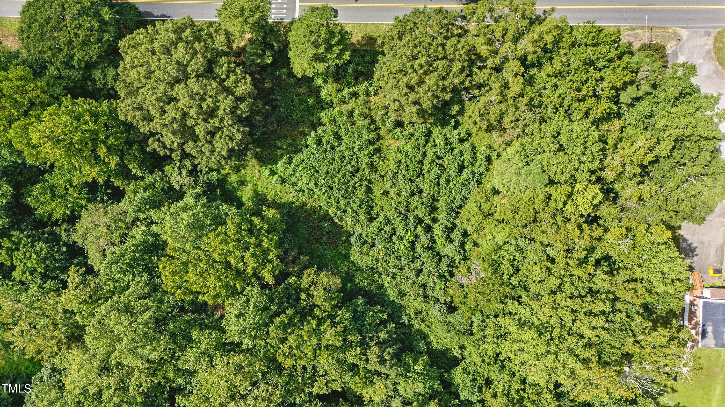 901 Mack-Todd Road Zebulon, NC 27597 - Photo 4 of 11 a view of a lush green field