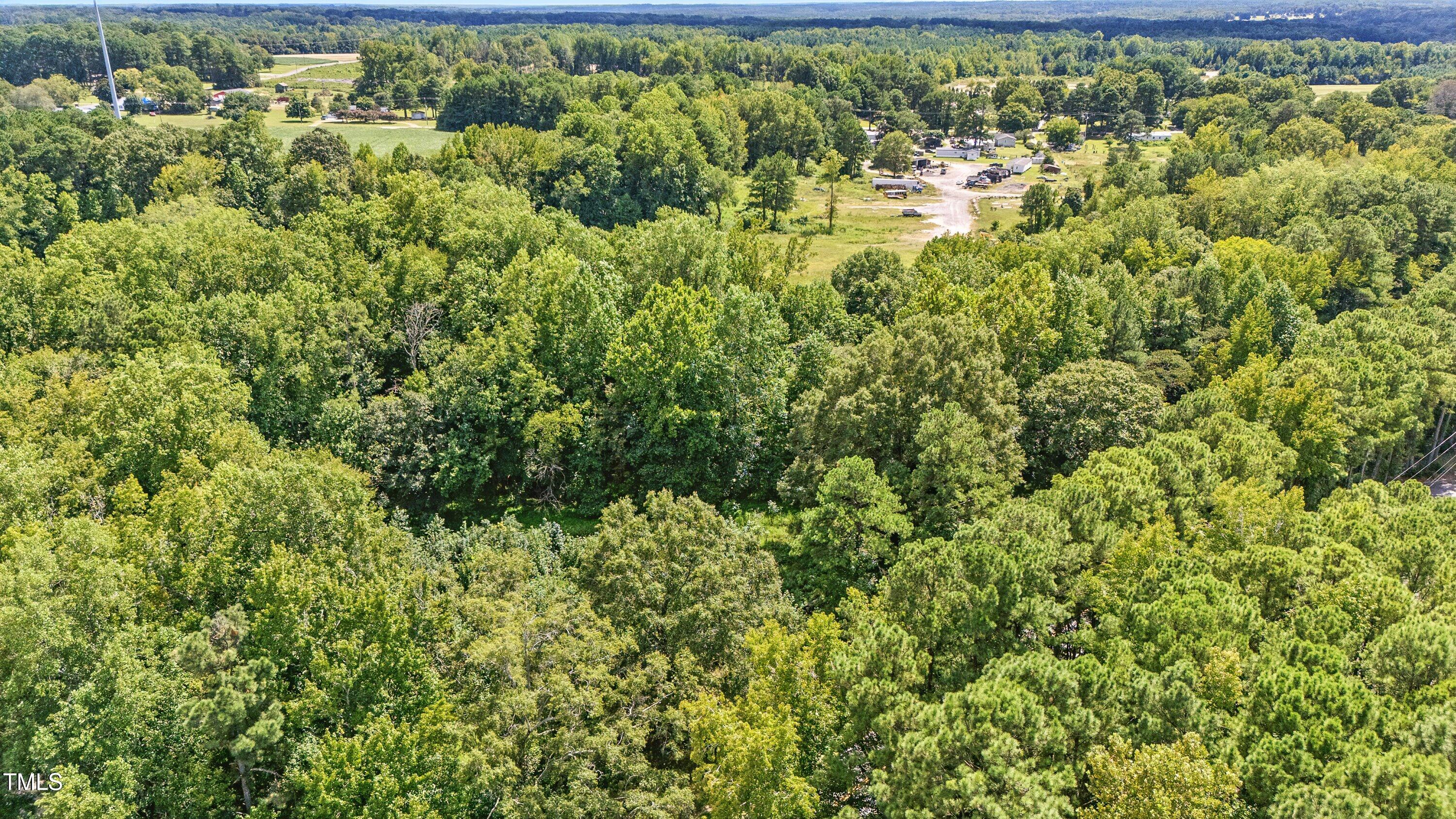 901 Mack-Todd Road Zebulon, NC 27597 - Photo 7 of 11 a view of a yard with plants