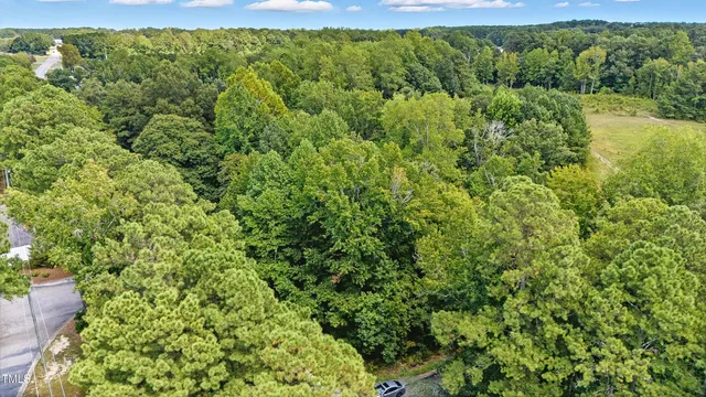 a view of a lush green forest with a houses in the back yard