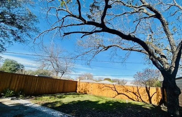 a view of backyard with wooden fence and a large tree