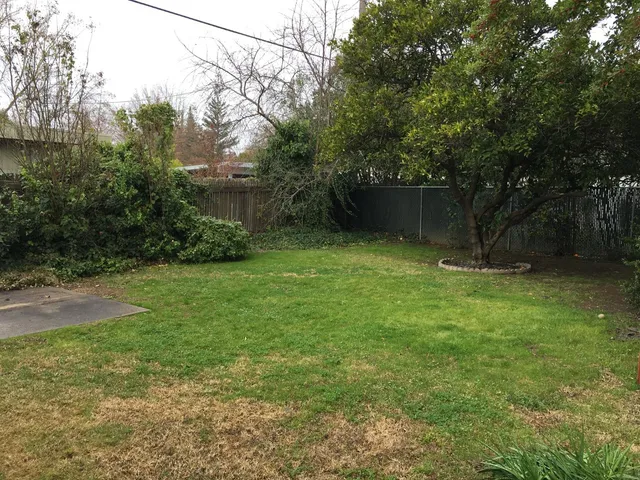 a view of a backyard