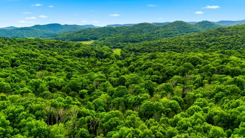 $1,249,900 | 427 Adams Road, Watertown, TN 37184
