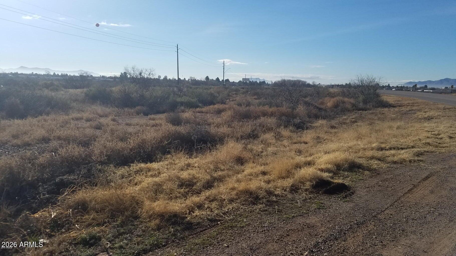 a view of a dry yard