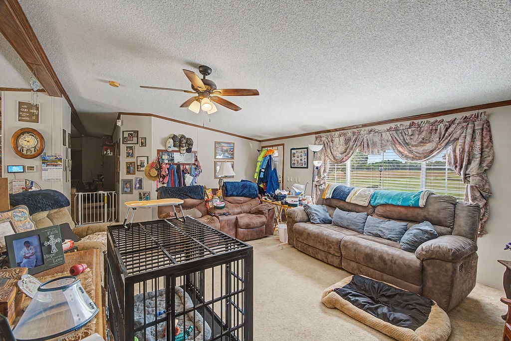 1955 Guthrie Road Guthrie, KY 42234 - Photo 4 of 13