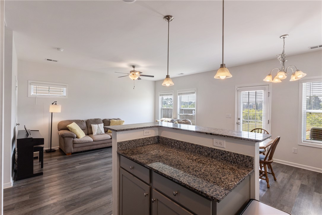 249 Samuel Street Pendleton, SC 29670 - Photo 18 of 42