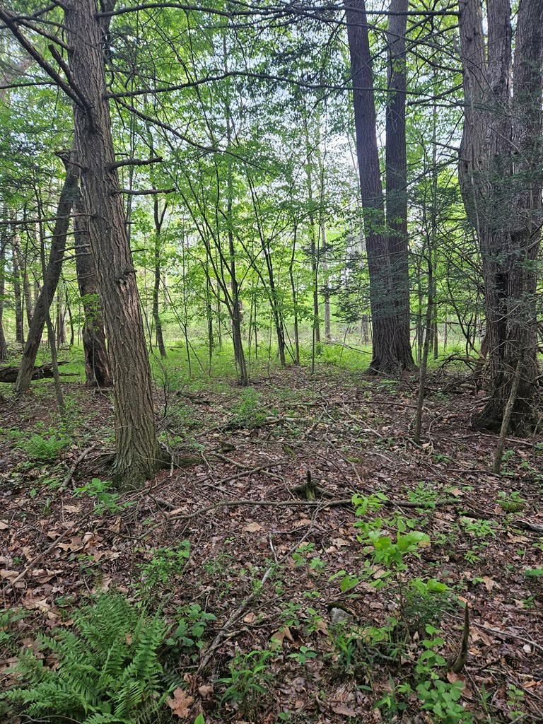 0 Hares Valley Road Mapleton Depot, PA 17052 - Photo 6 of 28 Gallery Image 6