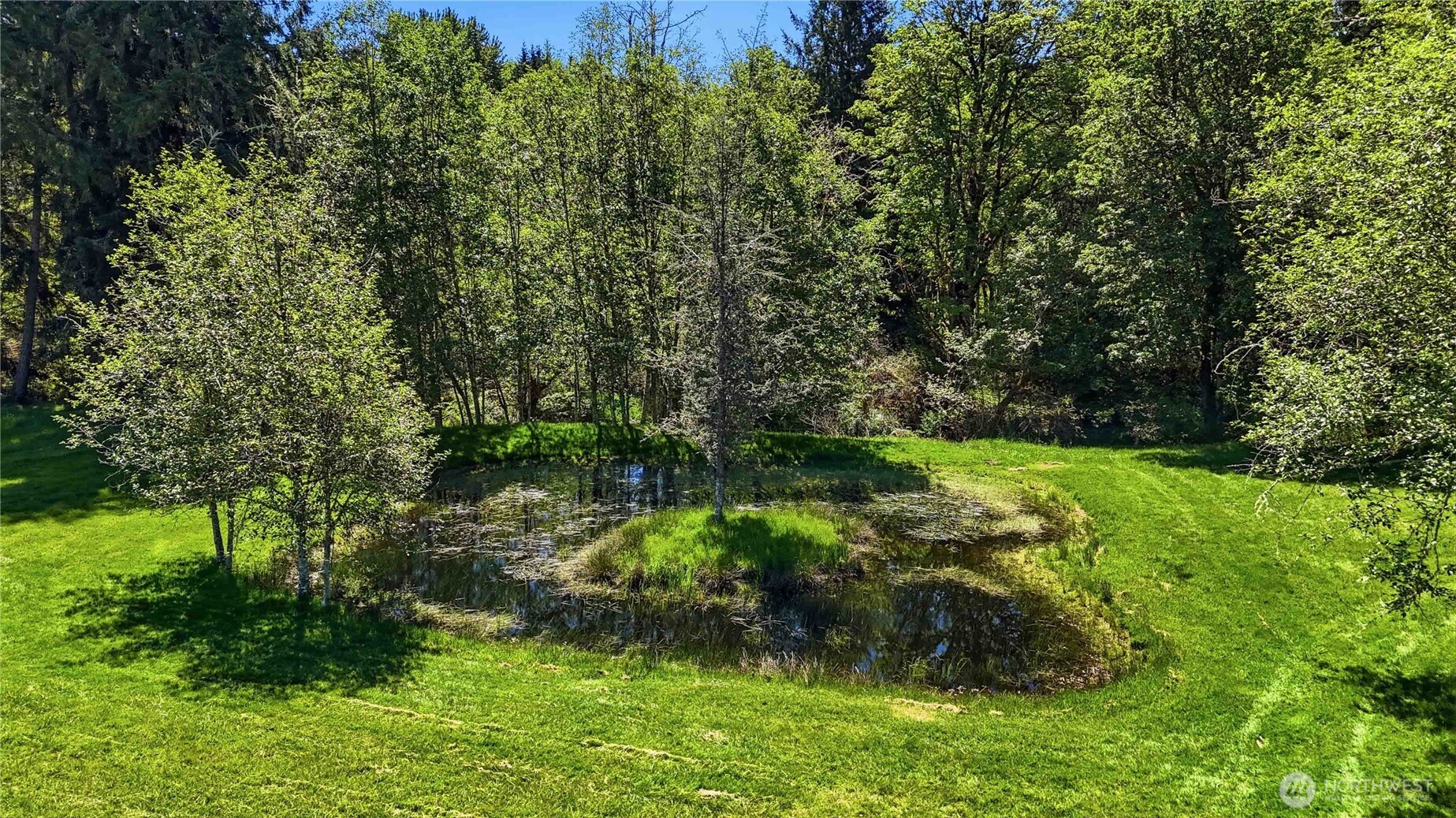 359 Frank Smith Road Toutle, WA 98649 - Photo 27 of 40 a green field with lots of trees