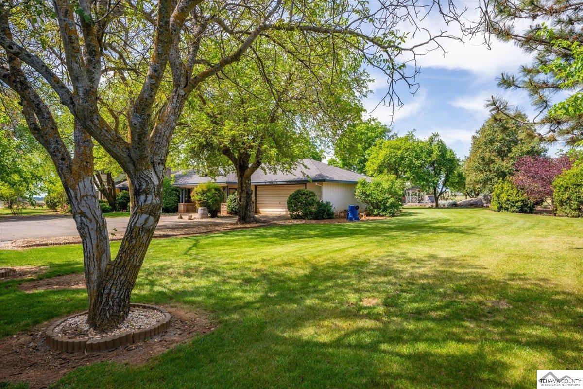 19950 Red Bank Road Red Bluff, CA 96080 - Photo 64 of 69