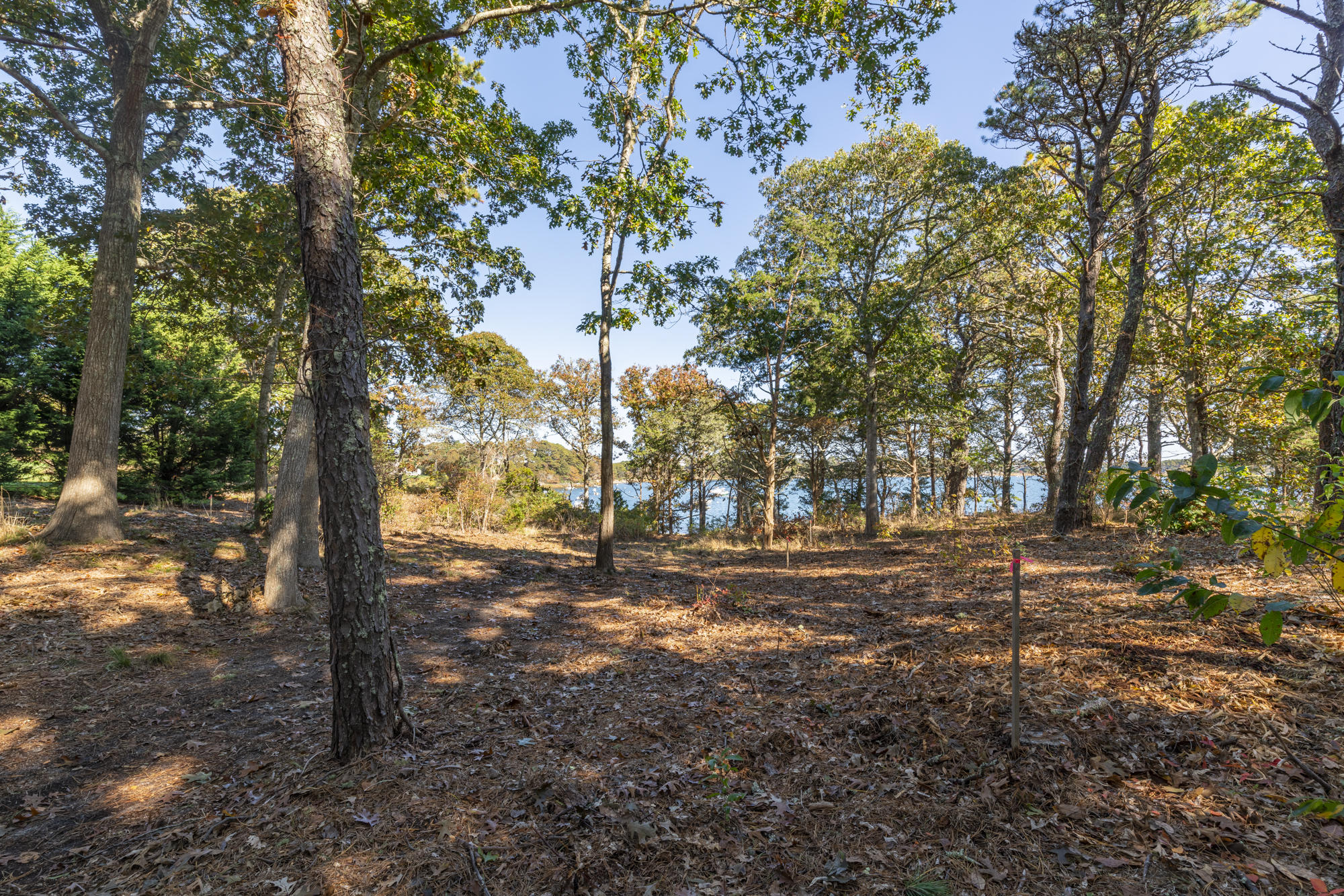 0 Crows Pond Road Chatham, MA 02633 - Photo 12 of 16 DSC00709-HDR