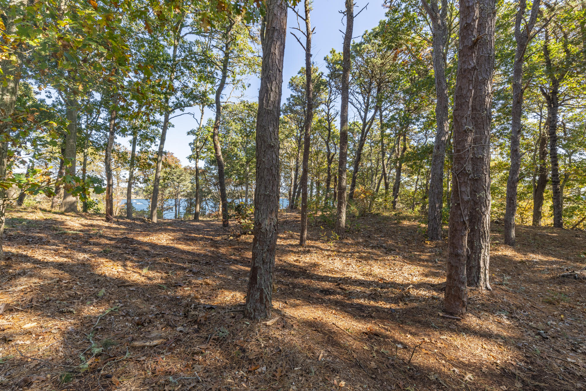 0 Crows Pond Road Chatham, MA 02633 - Photo 13 of 16 DSC00714-HDR