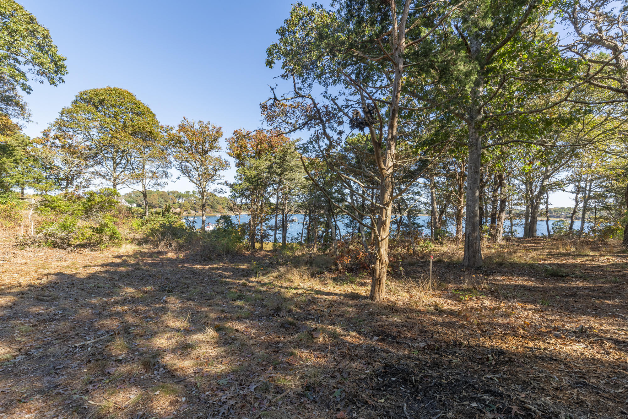 0 Crows Pond Road Chatham, MA 02633 - Photo 10 of 16 DSC00696-HDR