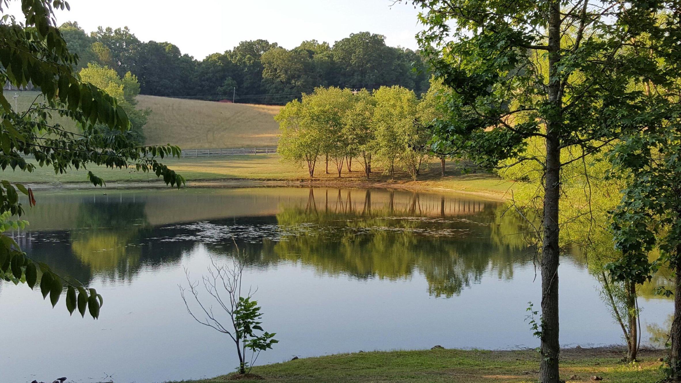 943 Guy Williams Road Rock Spring, GA 30739 - Photo 11 of 41 IMG_0877