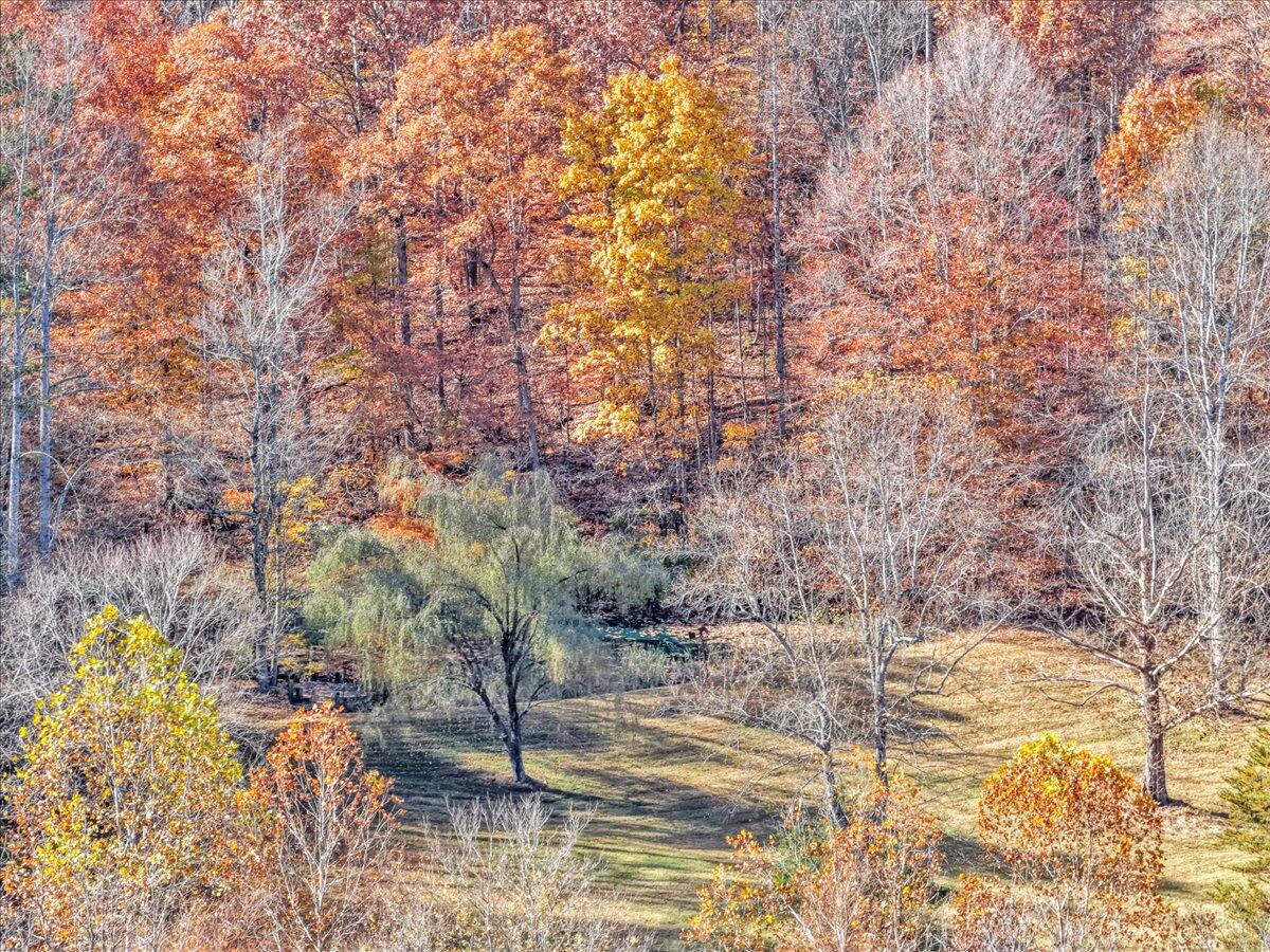 6548 Goodview Road Goodview, VA 24095 - Photo 98 of 113 098-DJI_20251105111344_0048_D_1