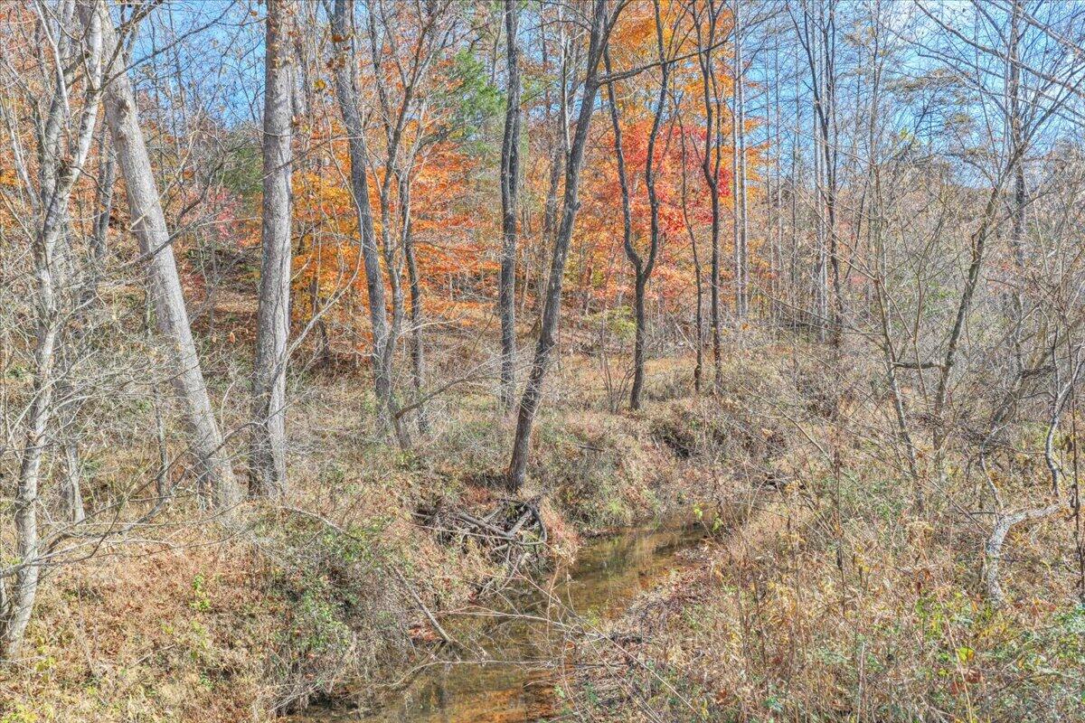 6548 Goodview Road Goodview, VA 24095 - Photo 106 of 113 106-DJI_20251105111718_0056_D_1