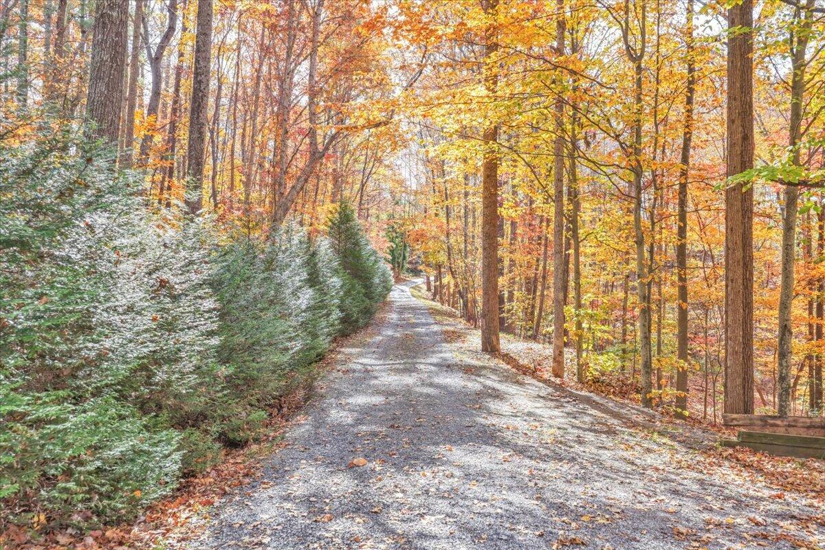 6548 Goodview Road Goodview, VA 24095 - Photo 110 of 113 110-DJI_20251105112117_0060_D_1