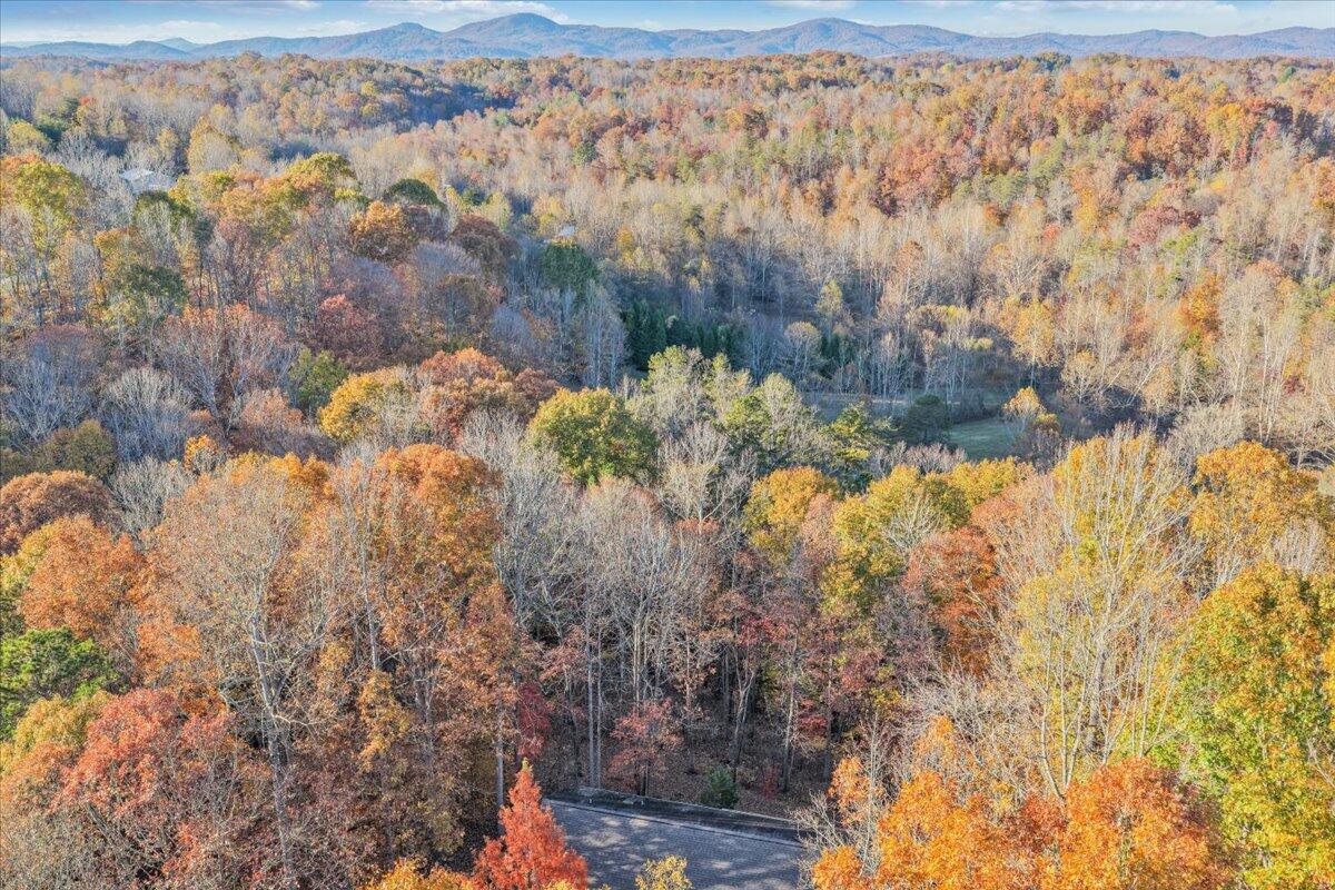 6548 Goodview Road Goodview, VA 24095 - Photo 64 of 113 064-DJI_20251103155534_0027_D