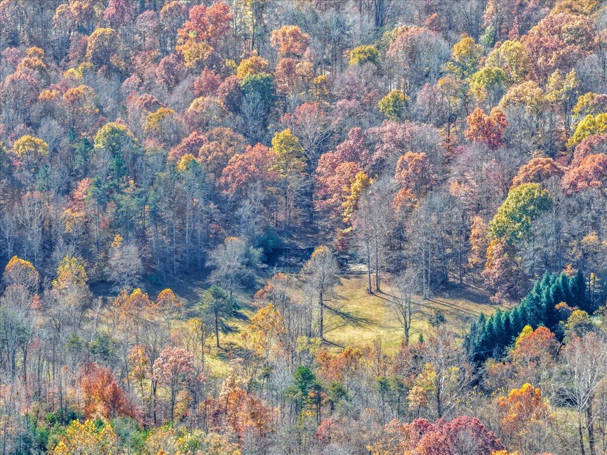 6548 Goodview Road Goodview, VA 24095 - Photo 75 of 113 075-DJI_20251105105833_0025_D_1