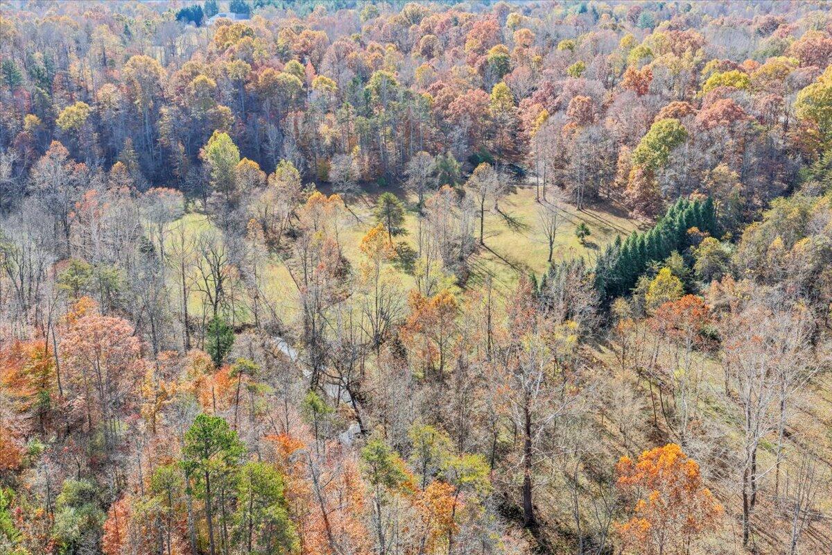 6548 Goodview Road Goodview, VA 24095 - Photo 79 of 113 079-DJI_20251105110206_0031_D_1