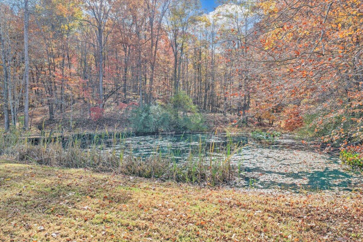 6548 Goodview Road Goodview, VA 24095 - Photo 81 of 113 081-DJI_20251105110346_0033_D_1