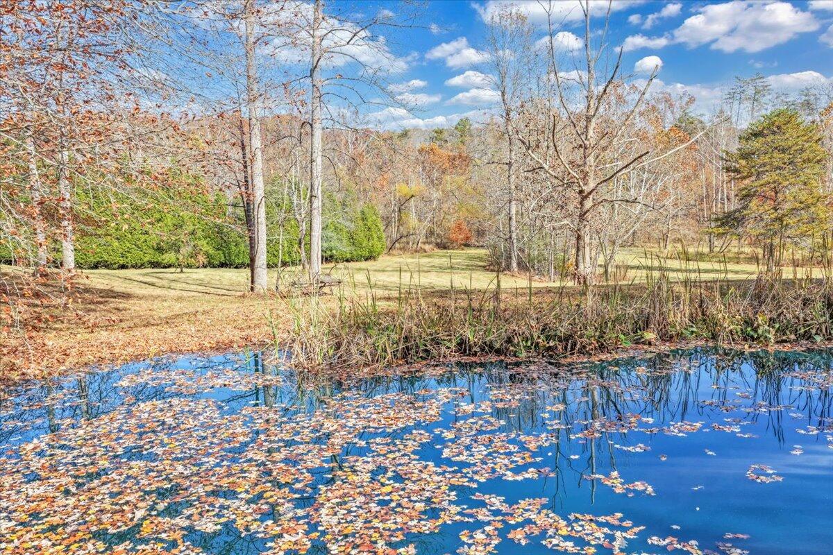 6548 Goodview Road Goodview, VA 24095 - Photo 86 of 113 086-DJI_20251105110727_0038_D_1