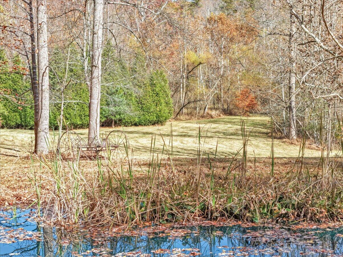 6548 Goodview Road Goodview, VA 24095 - Photo 87 of 113 087-DJI_20251105110748_0039_D_1