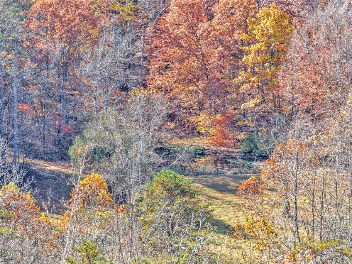 6548 Goodview Road Goodview, VA 24095 - Photo 97 of 113 097-DJI_20251105111326_0047_D_1