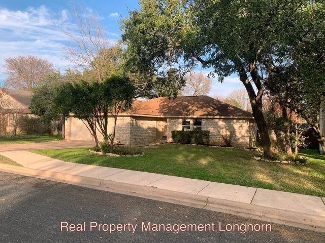 a view of a park that has a tree in it