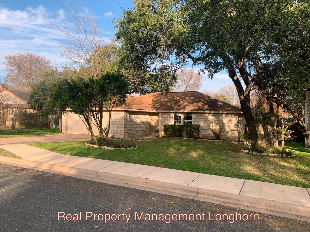a view of a park that has a tree in it