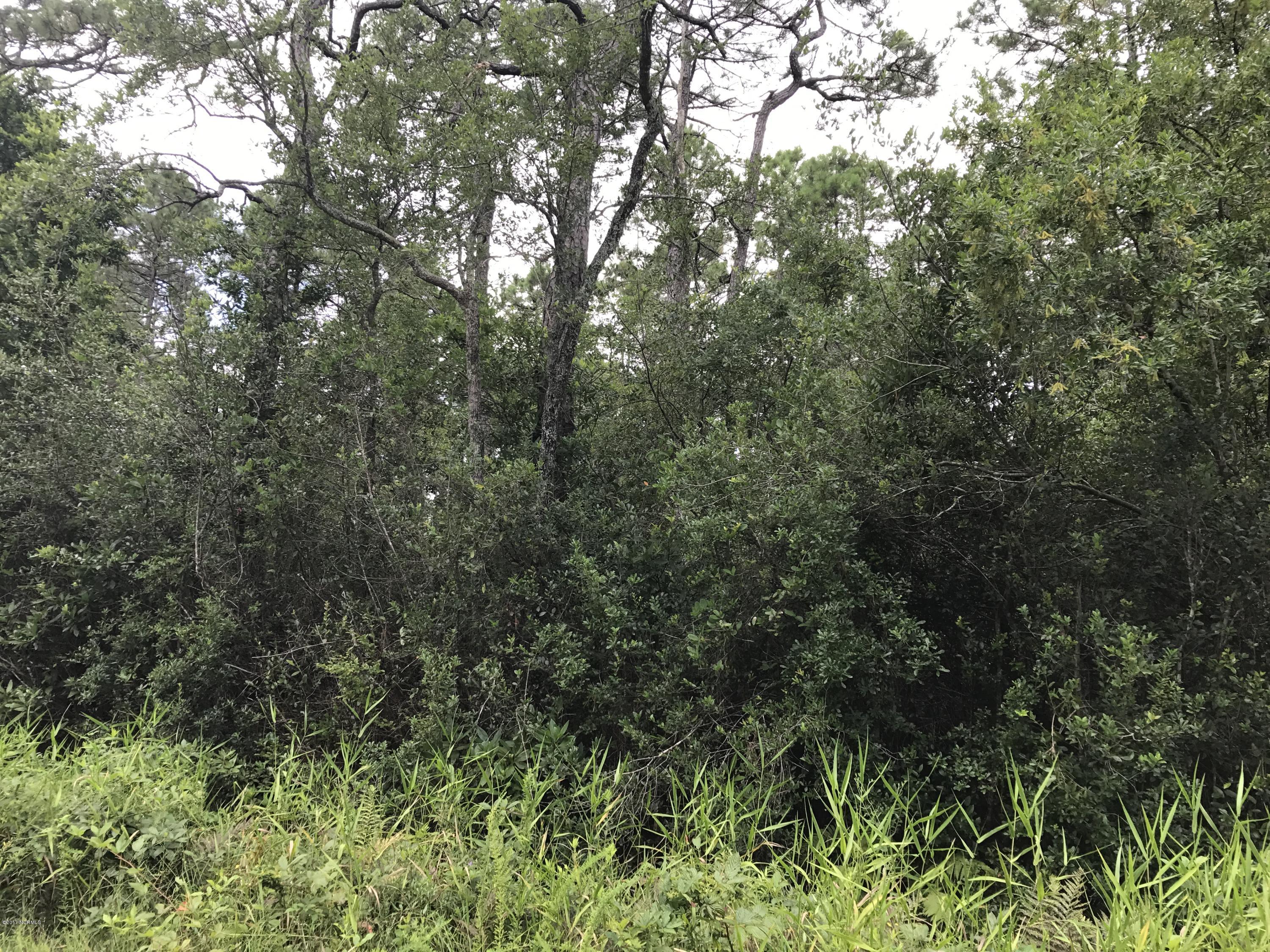 11.6 ACRES ON CAMELIA RD