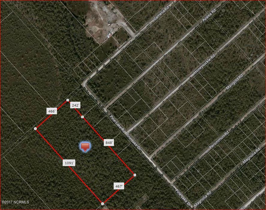 11.6 ACRES ON CAMELIA RD