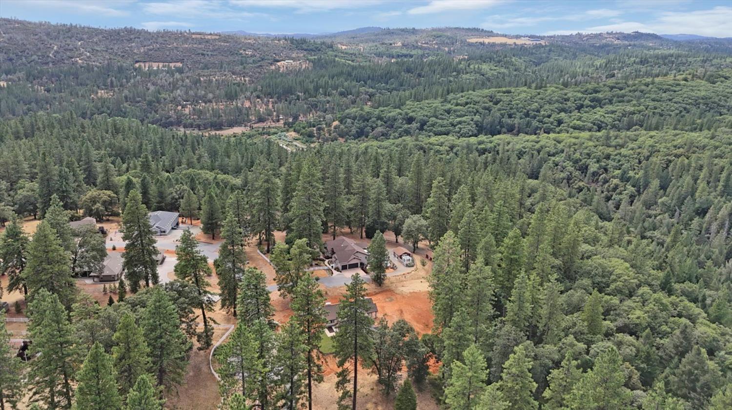 10279 Evergreen Ranch Court Grass Valley, CA 95949 - Photo 65 of 79 a view of a forest with a street