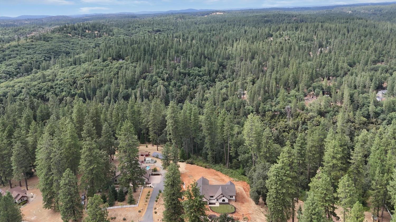10279 Evergreen Ranch Court Grass Valley, CA 95949 - Photo 79 of 79 a view of a city with lush green forest