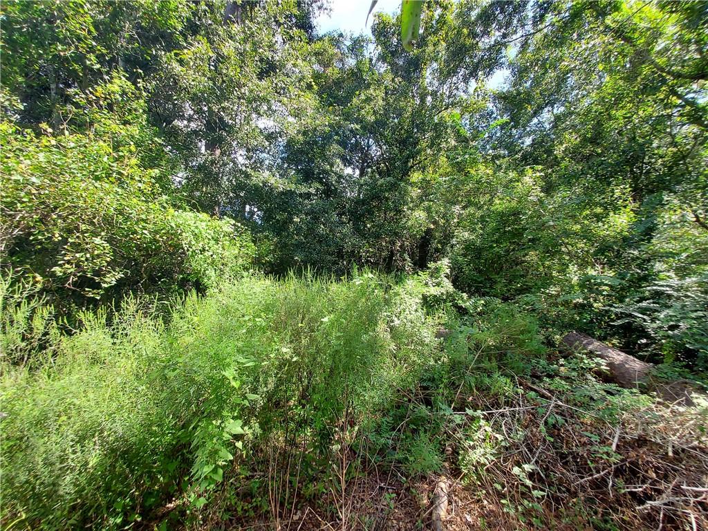 0 13th Avenue Covington, LA 70433 - Photo 4 of 4