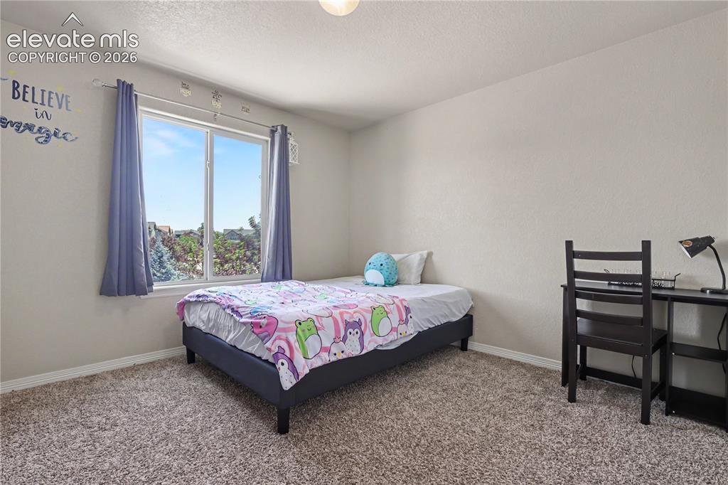 6598 Alliance Loop Colorado Springs, CO 80925 - Photo 27 of 39 Carpeted room featuring a large window, neutral wall tones, and a light fixture