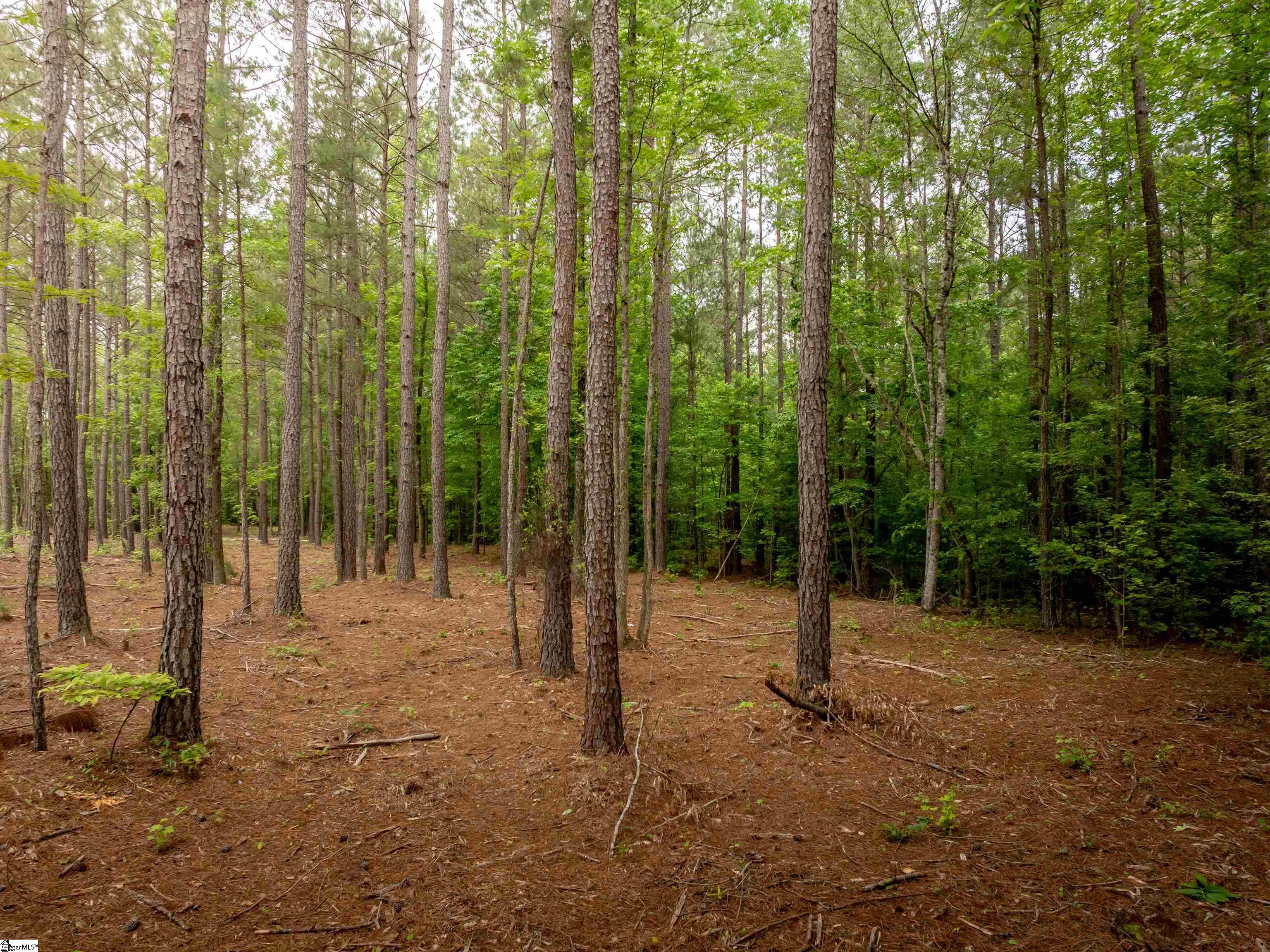 0 Elford Grove Road, Unit TRACT 9 Jonesville, SC 29353 - Photo 11 of 23 Gallery Image 11