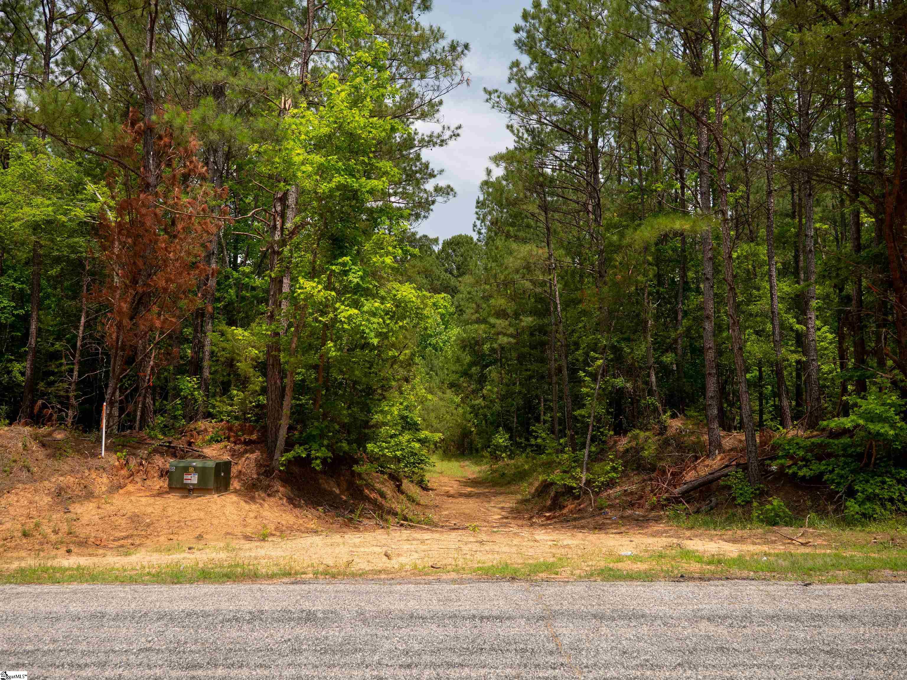 0 Elford Grove Road, Unit TRACT 9 Jonesville, SC 29353 - Photo 20 of 23 Gallery Image 20