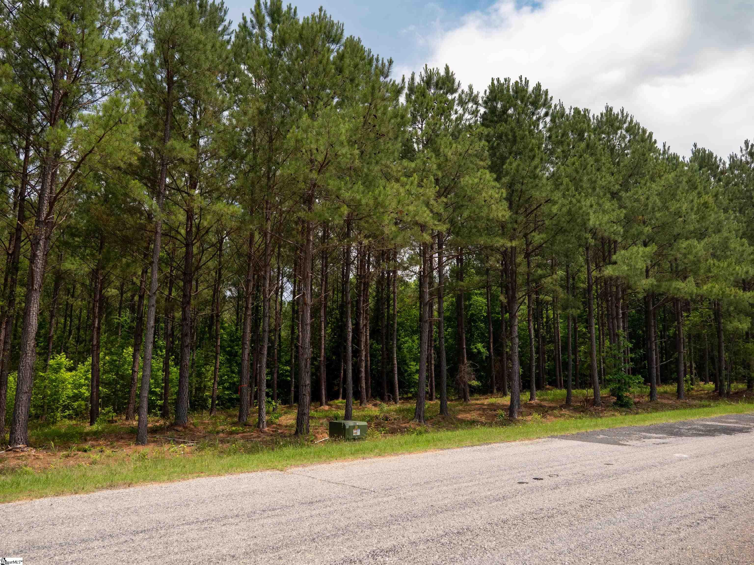 0 Elford Grove Road, Unit TRACT 9 Jonesville, SC 29353 - Photo 23 of 23 Gallery Image 23