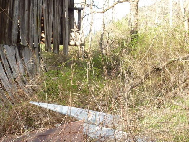 Tbd Tilson Branch Road Marshall, NC 28753 - Photo 11 of 11 Gallery Image 11