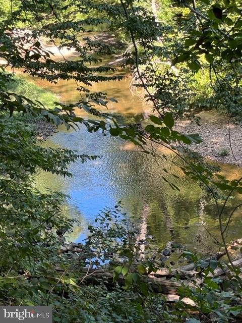 7781 Tiverton Drive Springfield, VA 22152 - Photo 42 of 53 Accotink Creek just behind the community