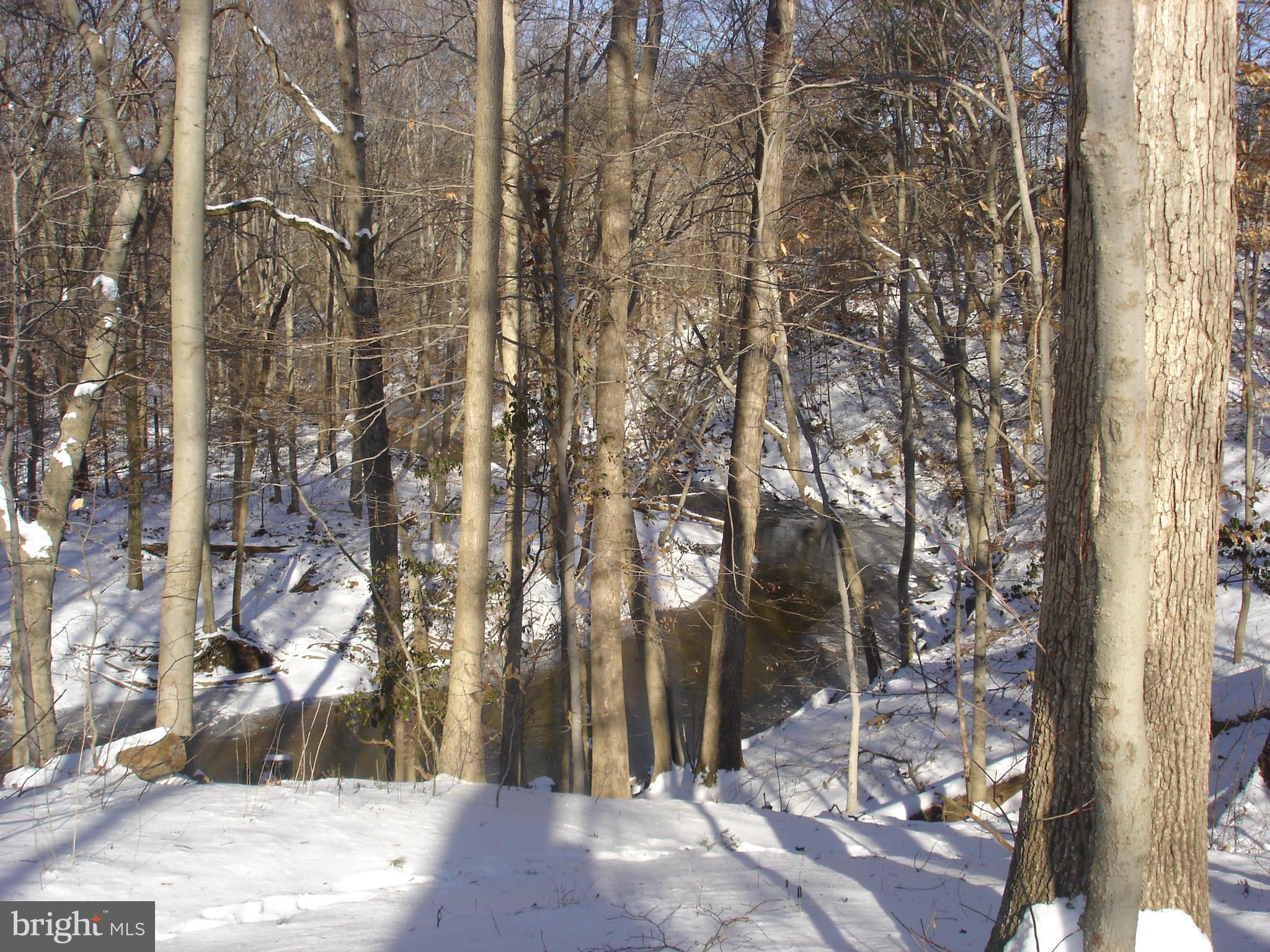 7781 Tiverton Drive Springfield, VA 22152 - Photo 43 of 53 Accotink Creek in the winter