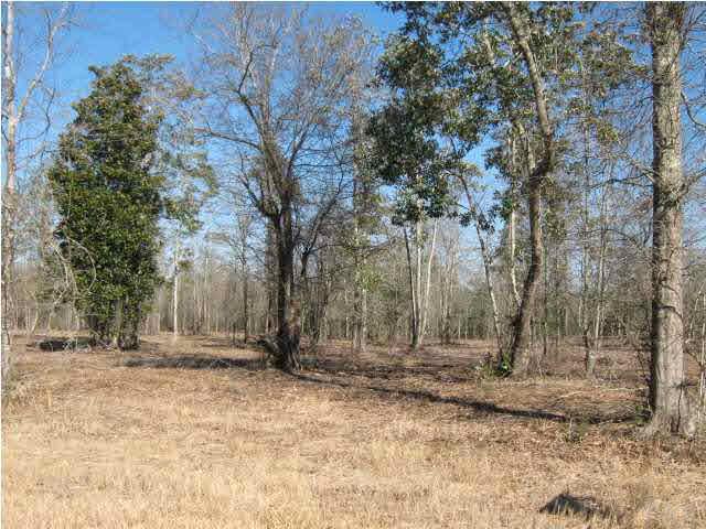 4900 Chestnut Road Molino, FL 32577 - Photo 1 of 21 Five acres. There are 4 5 acres parcels for sale. Buy 5 acres or 10 or 15 or all 20.